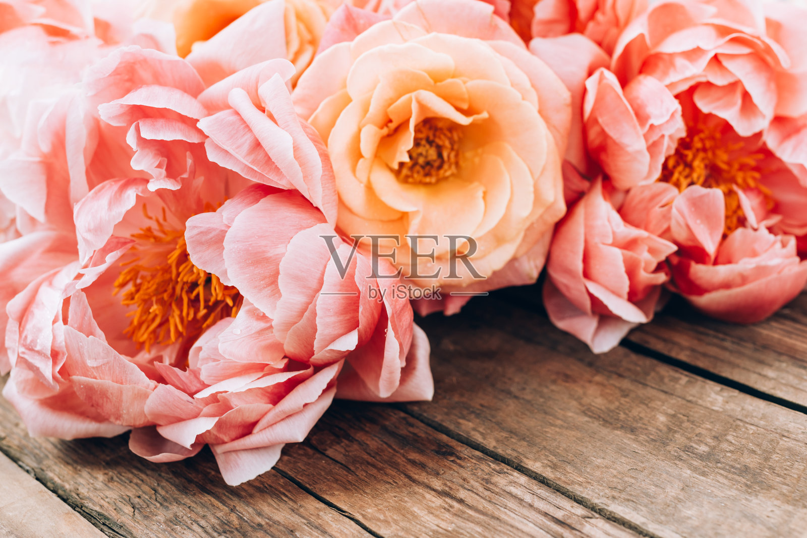 一束粉红色的牡丹和玫瑰照片摄影图片