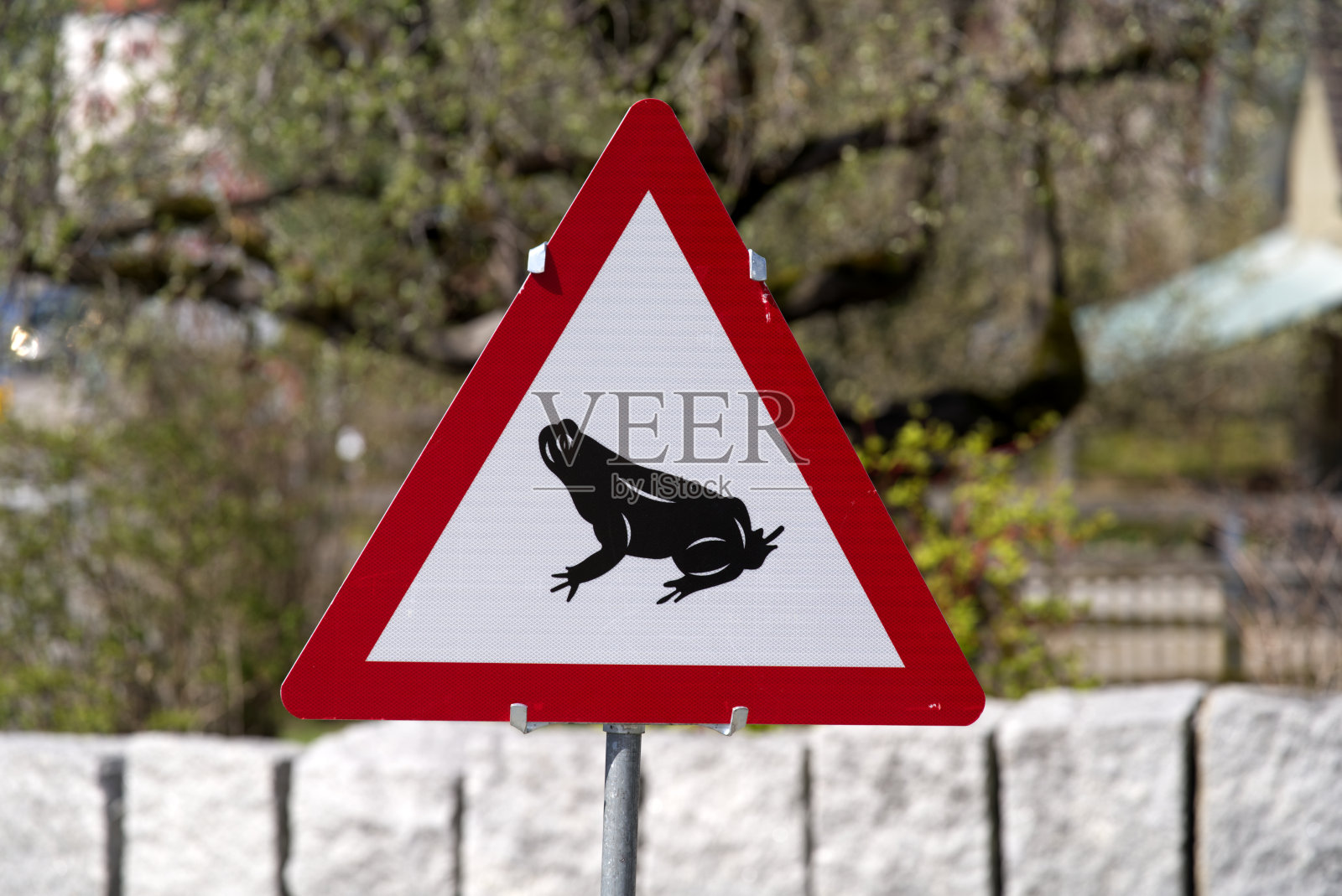 路牌注意青蛙过马路。照片摄影图片