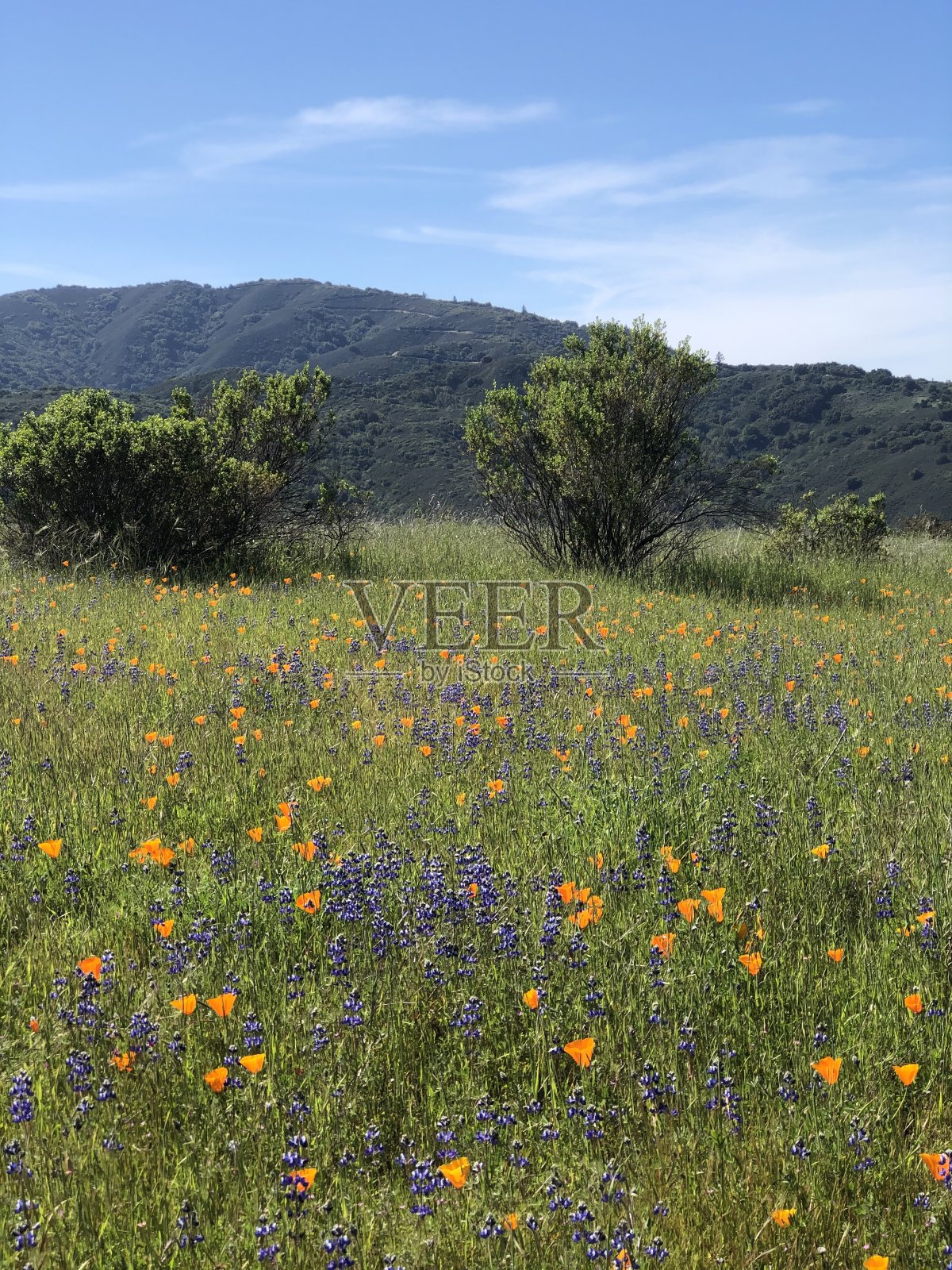 阿尔马登快速银照片摄影图片