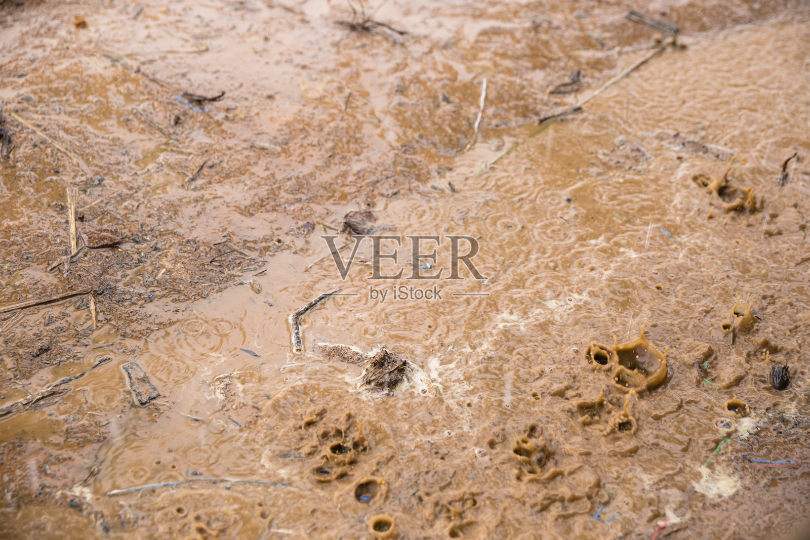 地板上的水坑。由于雨水产生的反射和纹理。照片摄影图片