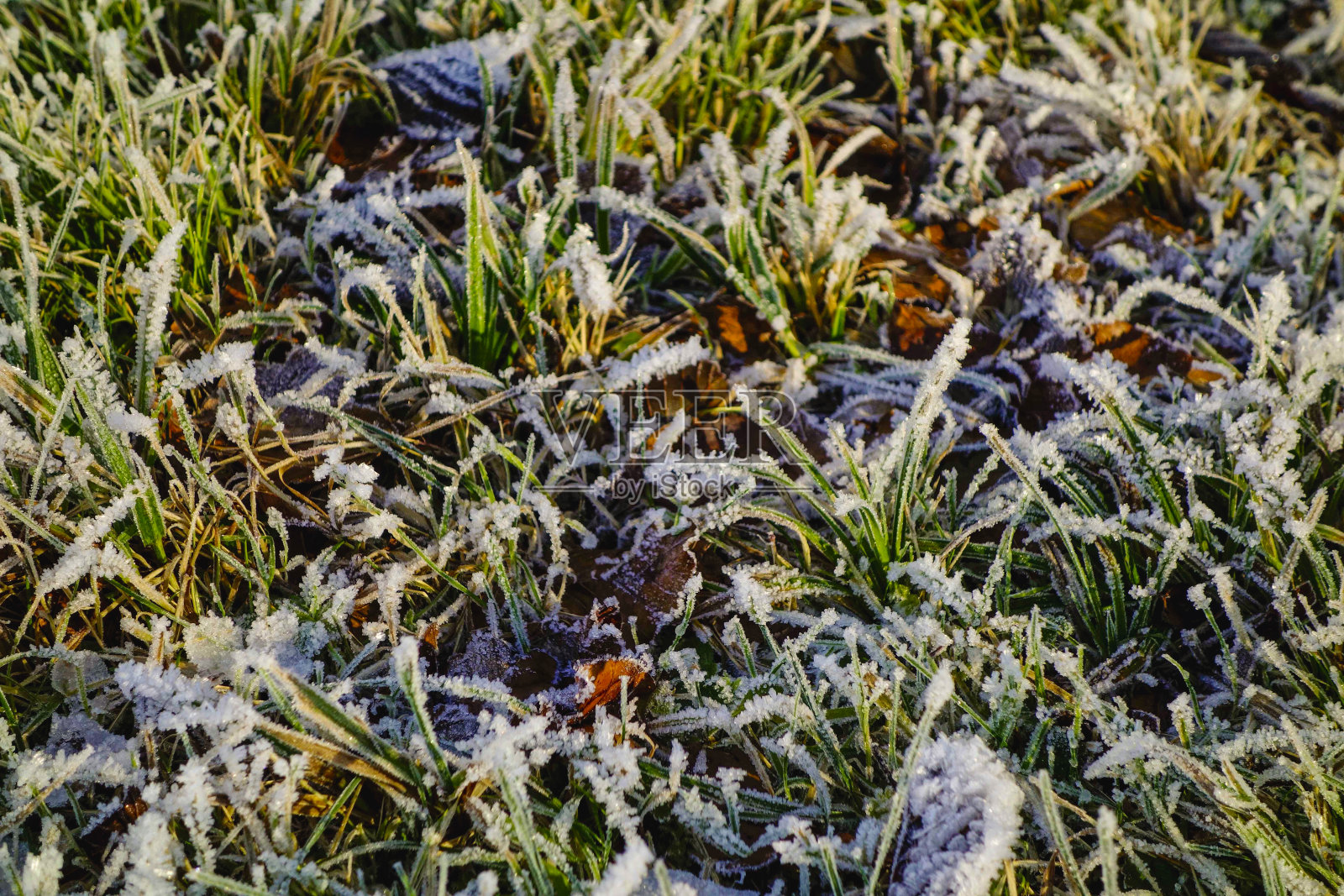 大自然中的寒冷冬日，德国巴伐利亚照片摄影图片