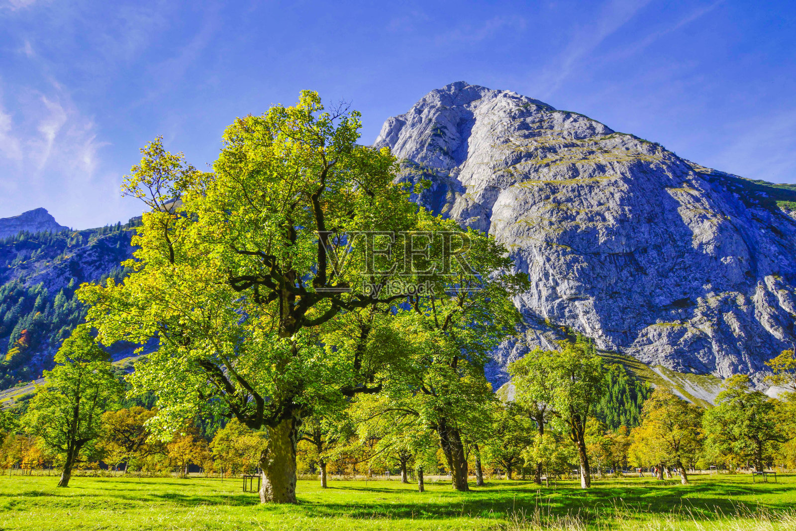Grosser Ahornboden，蒂罗尔，奥地利照片摄影图片