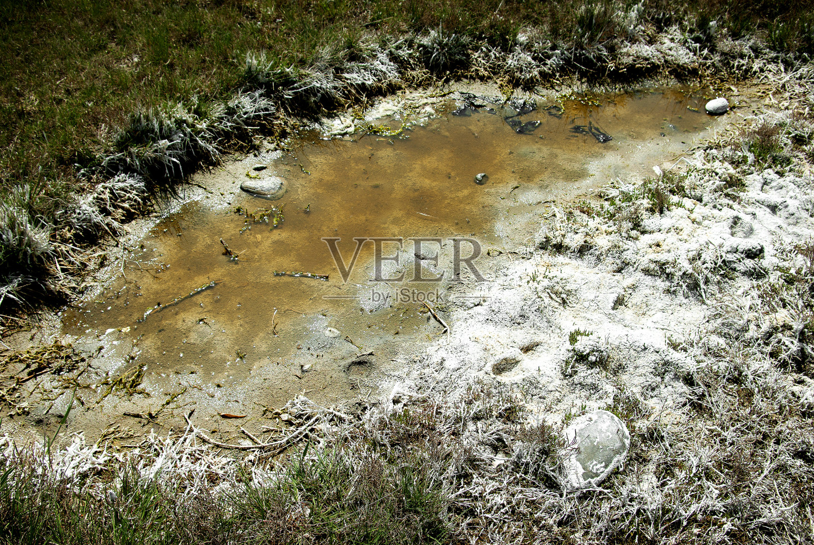 肮脏的水坑与丢弃的化学品。环境污染。照片摄影图片