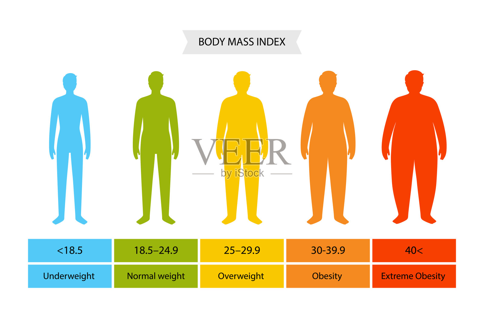 身体质量指数插画图片素材