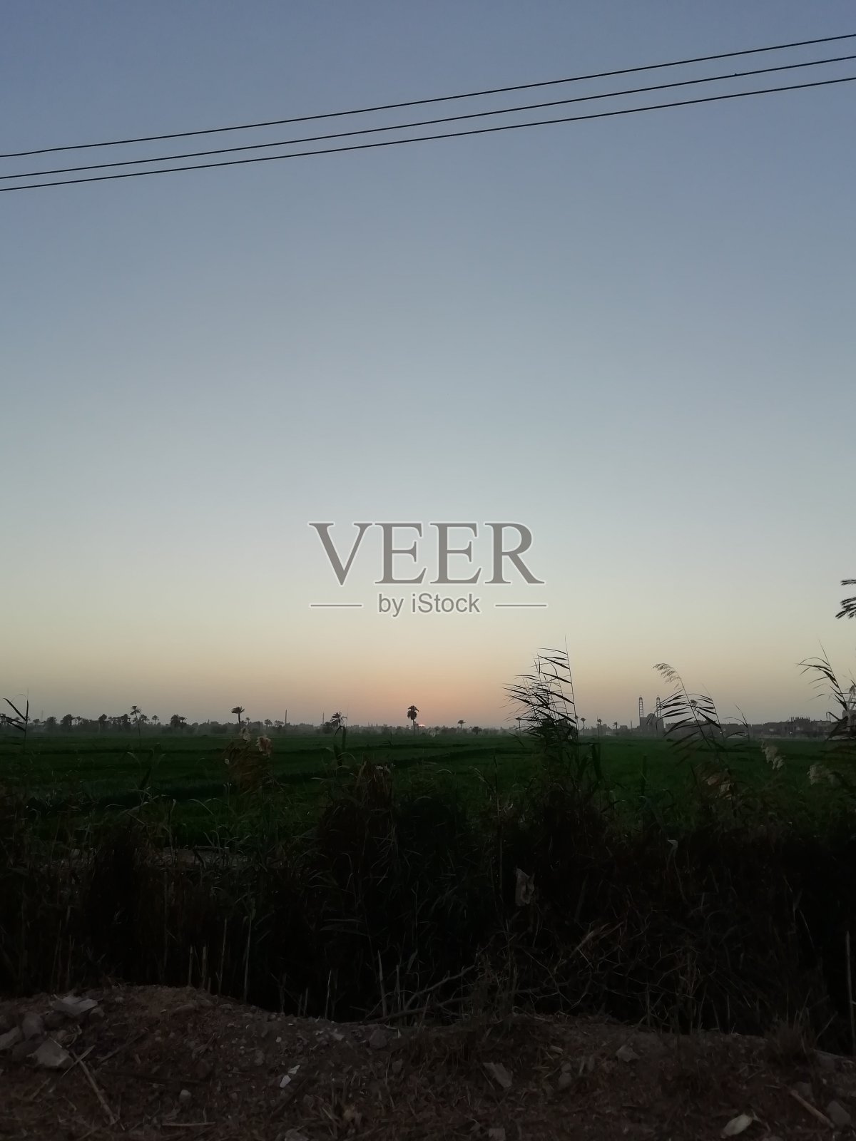 水道边的绿色草地照片摄影图片