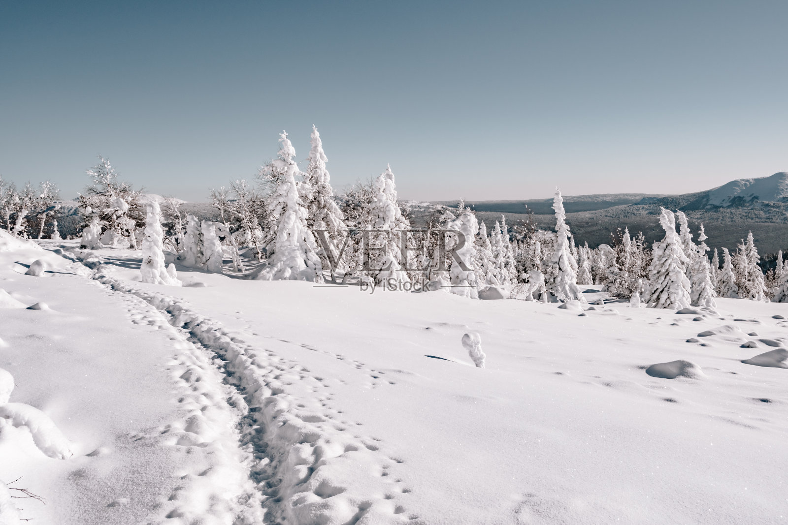 在晴朗的阳光明媚的日子里，深雪中的小路。穿越山谷的冬季旅行照片摄影图片