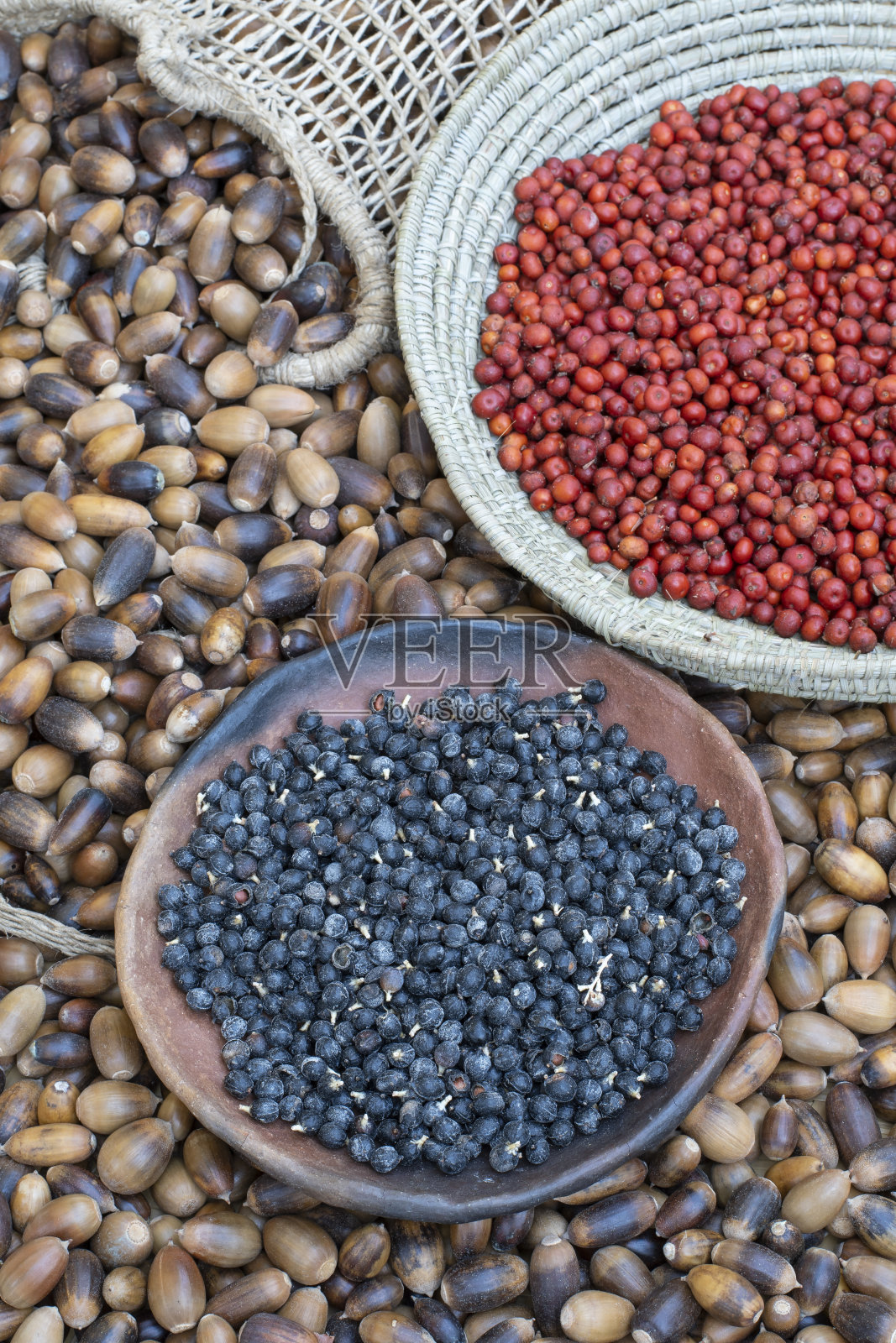 秋天收获野生食物照片摄影图片