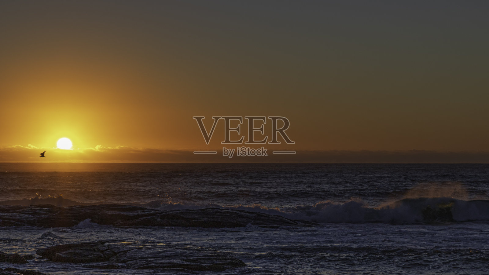 金色的天空落日与飞翔的小鸟照片摄影图片