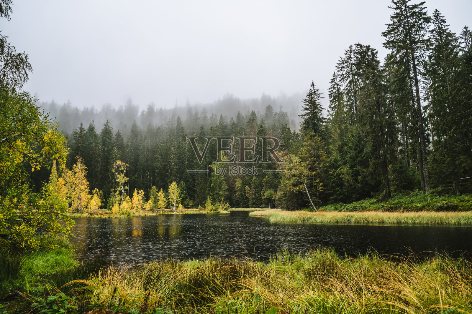 早晨湖上的降雨景观照片摄影图片