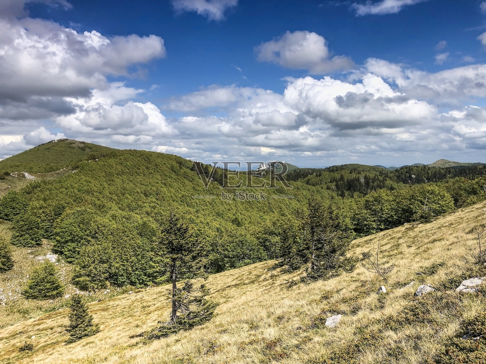 Velebit山牧场照片摄影图片