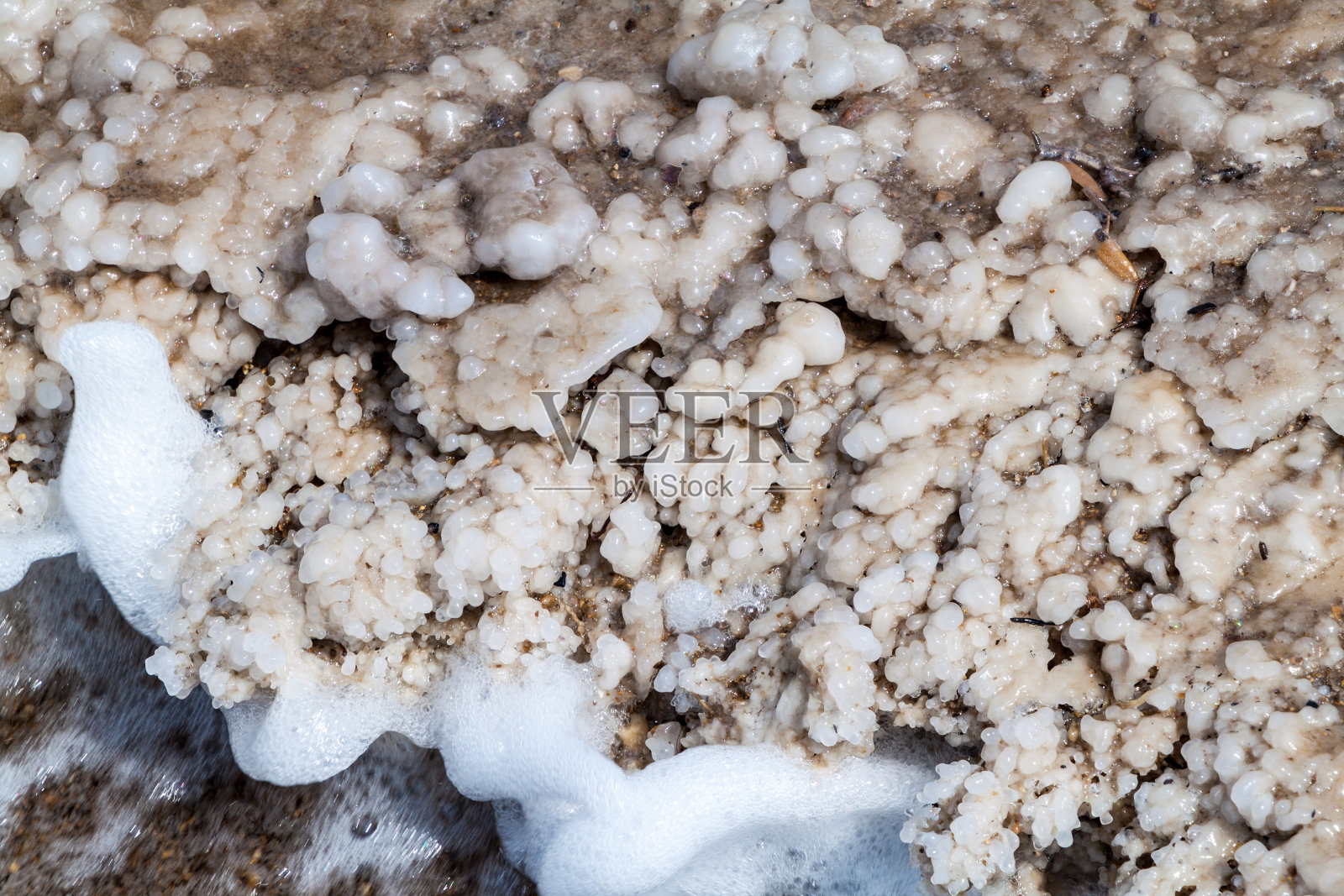 死海沿岸的盐沉积照片摄影图片