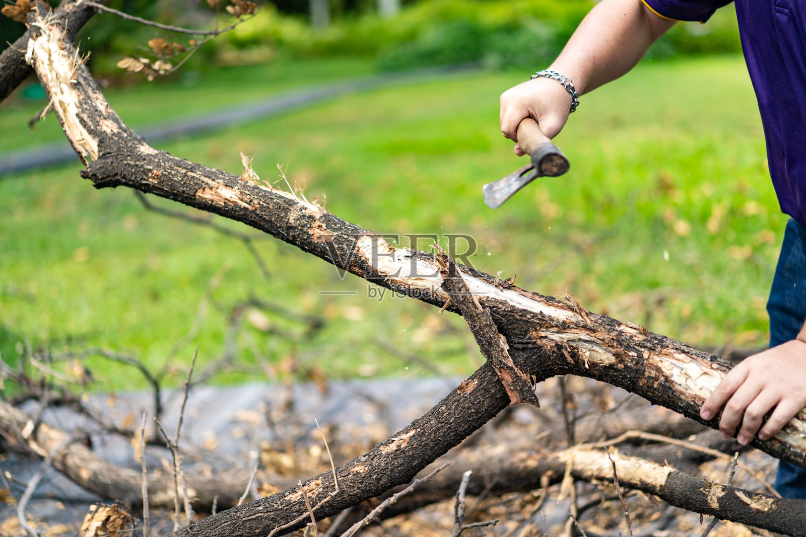 亚洲工人将原木和枯树砍成小块，以备下一道工序。照片摄影图片