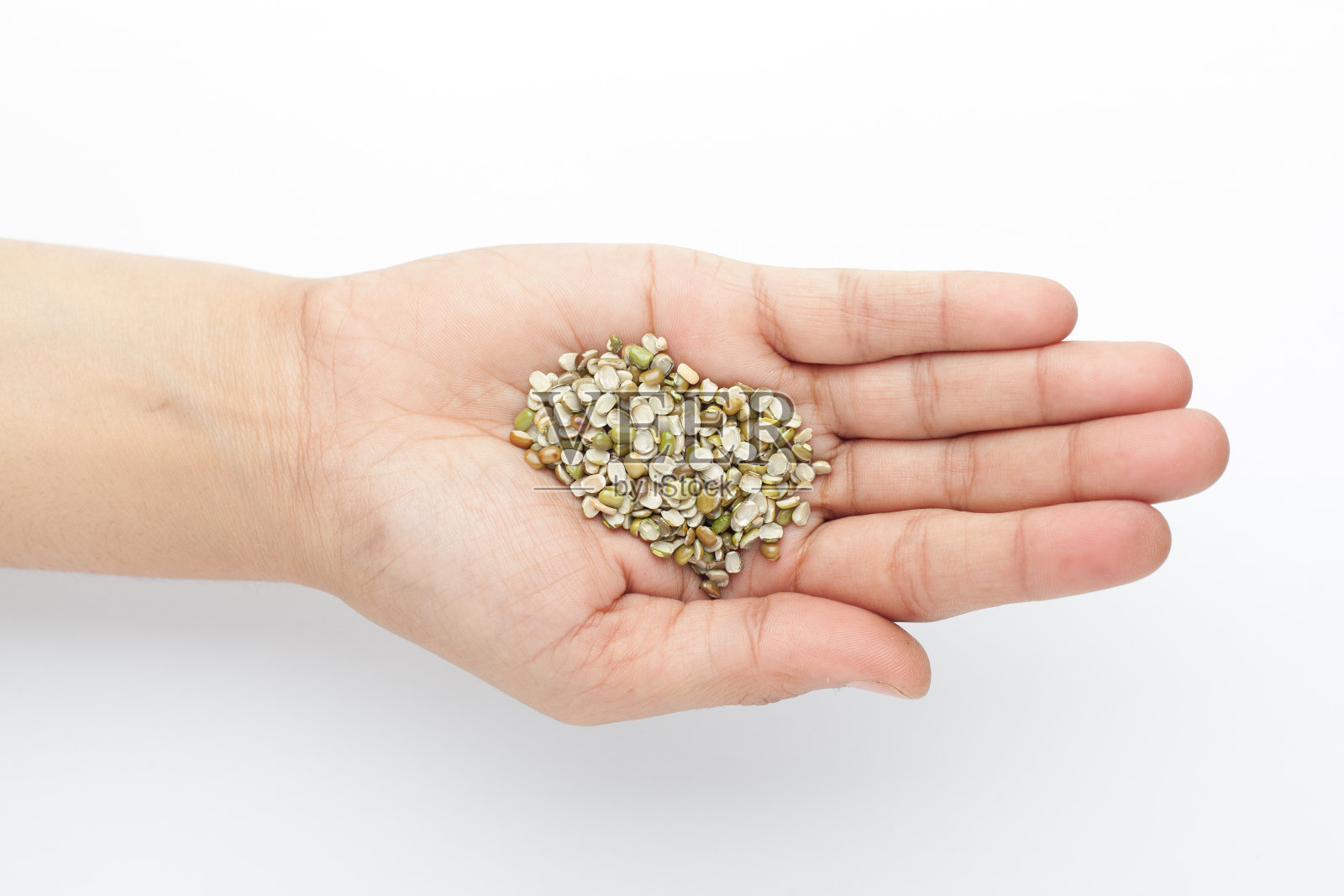 有机分裂的绿色乌拉尔木豆(葡萄芒戈)的宏观特写在一个女性的手掌。照片摄影图片