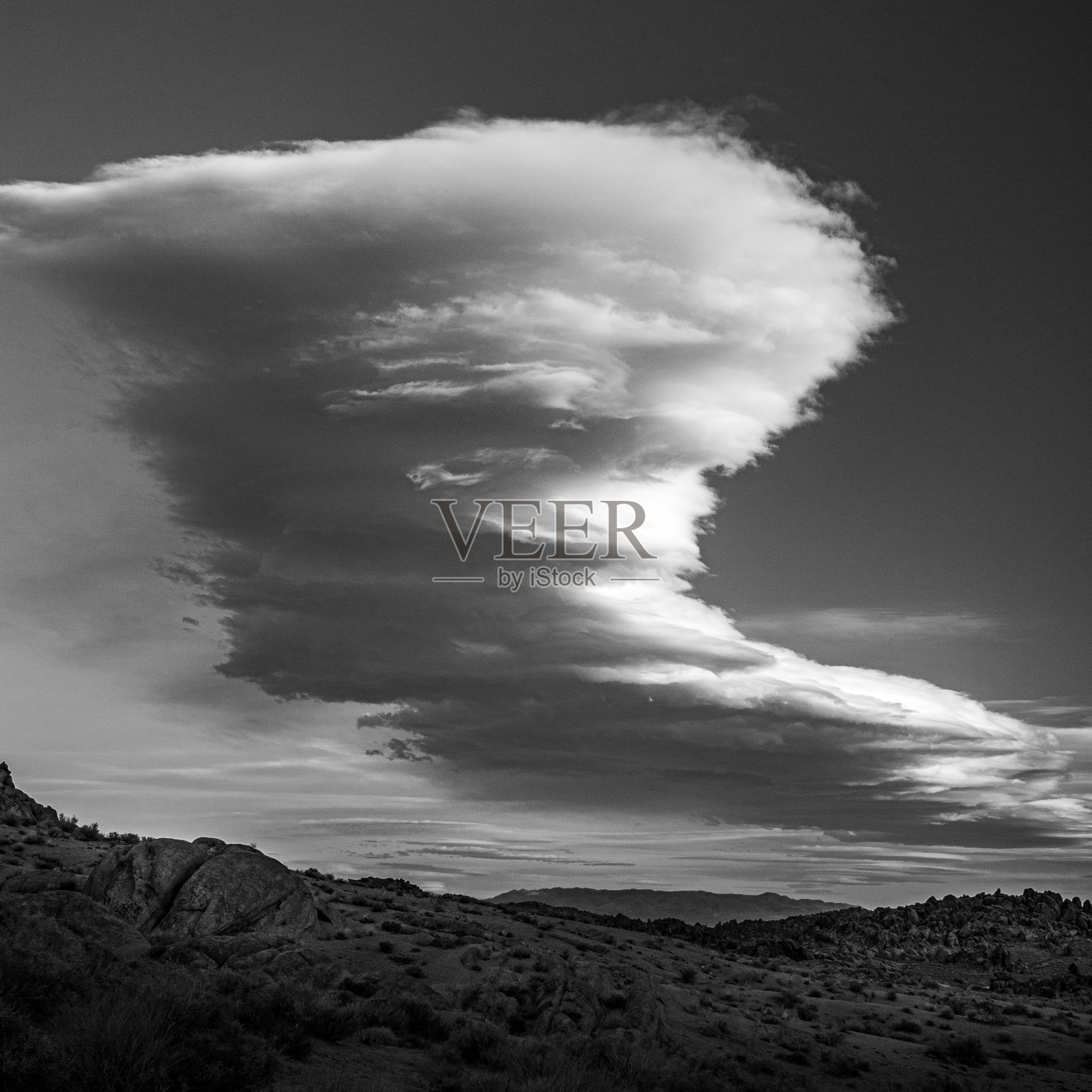 塞拉波黑与白照片摄影图片
