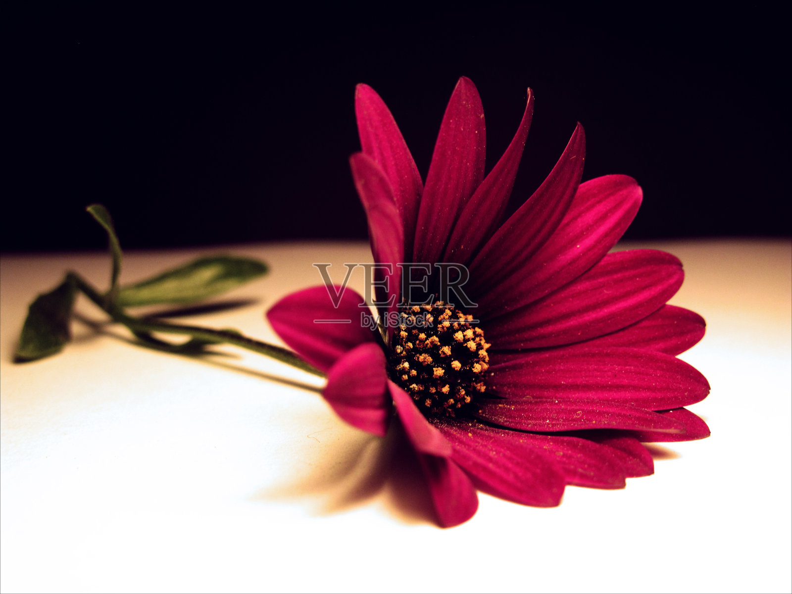 互补照片摄影图片