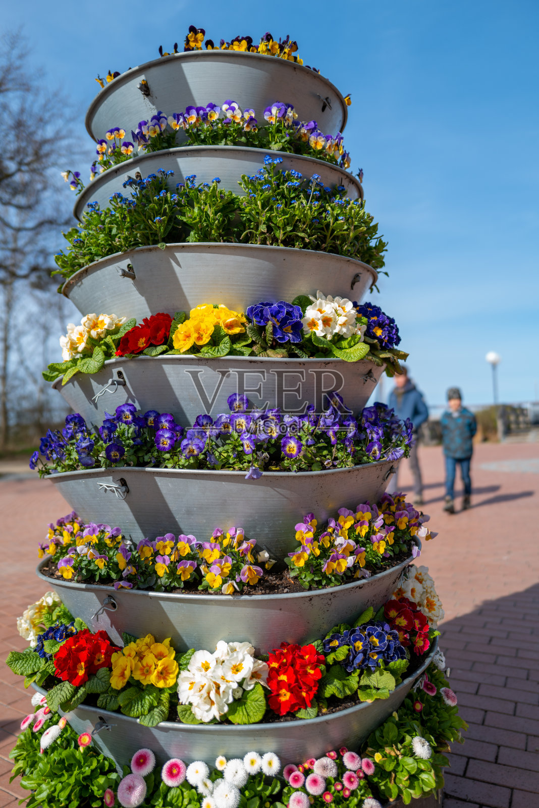 Etagere种植着春天的花站在散步的中央照片摄影图片