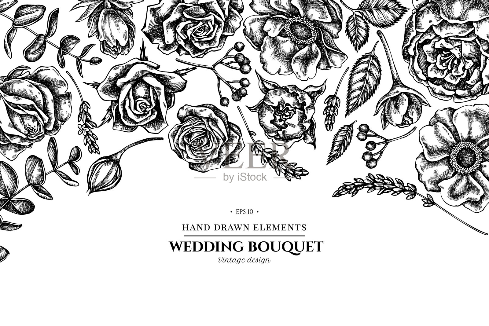 花设计与黑色和白色玫瑰银莲花插画图片素材