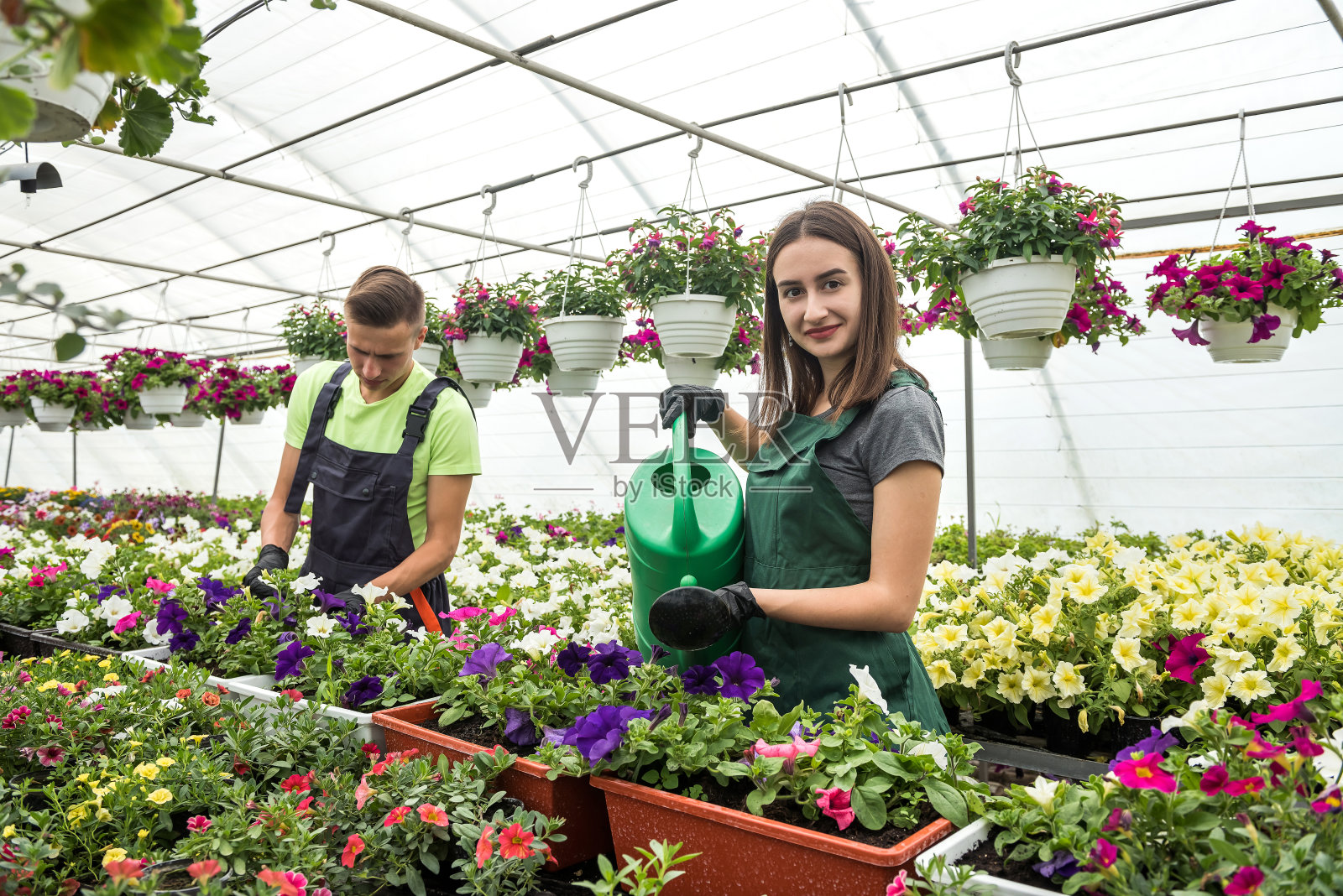 在花卉中心一起工作的两名工人照片摄影图片