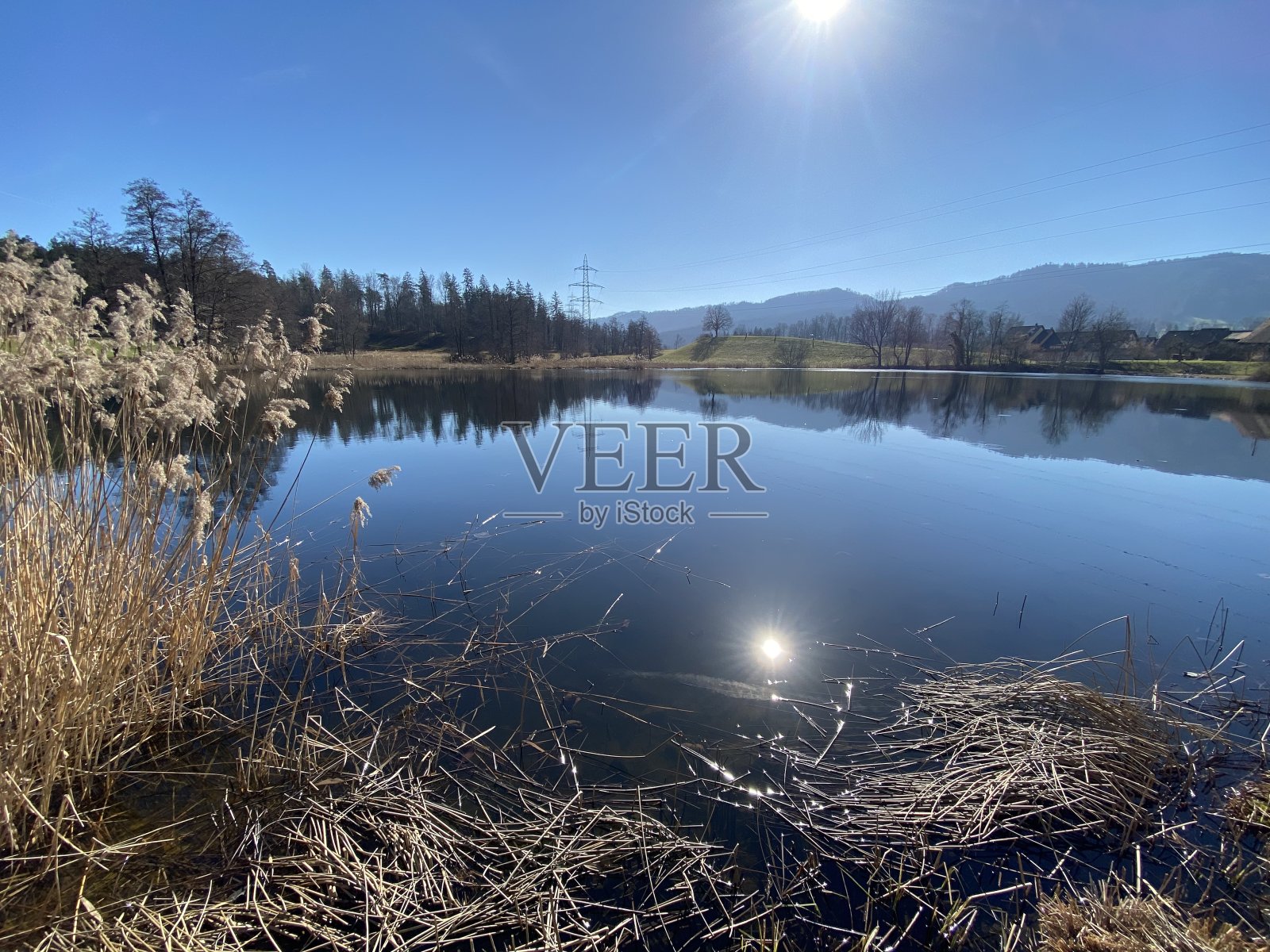 在Gattikerweiher池塘和Landforst自然保护区的冬末春初，Gattikon州Zürich(苏黎世或苏黎世)，瑞士(Schweiz)照片摄影图片