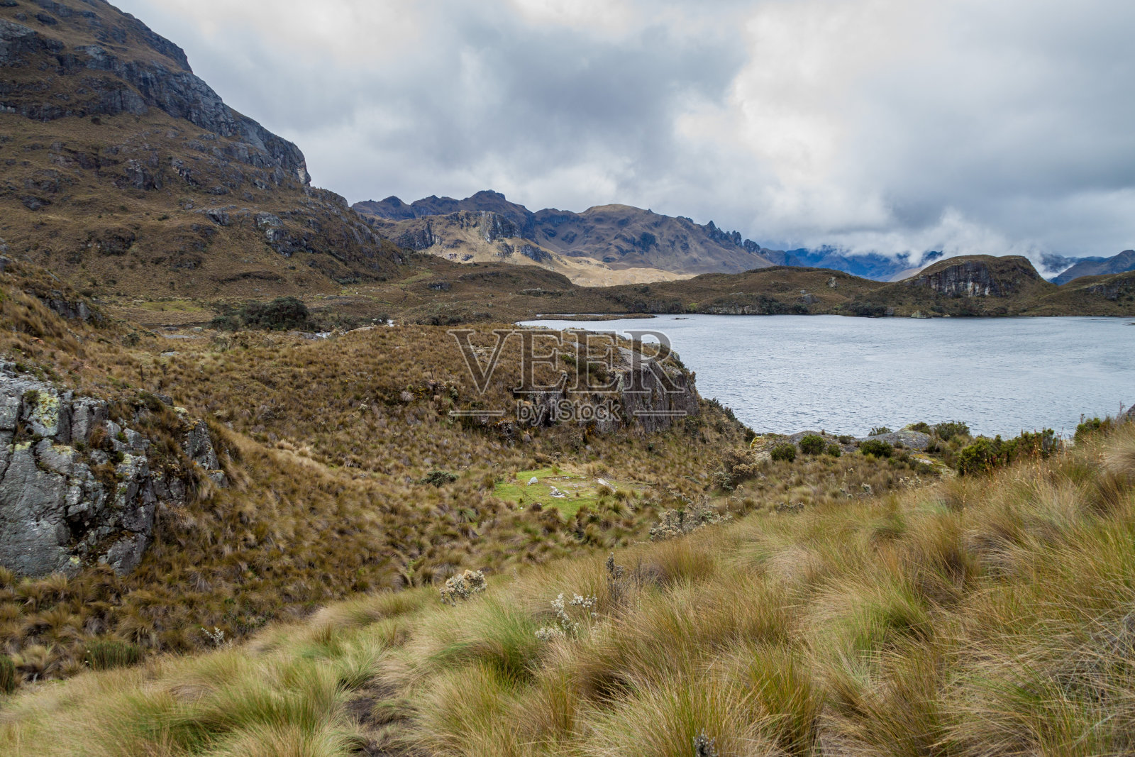 厄瓜多尔卡加斯国家公园景观照片摄影图片