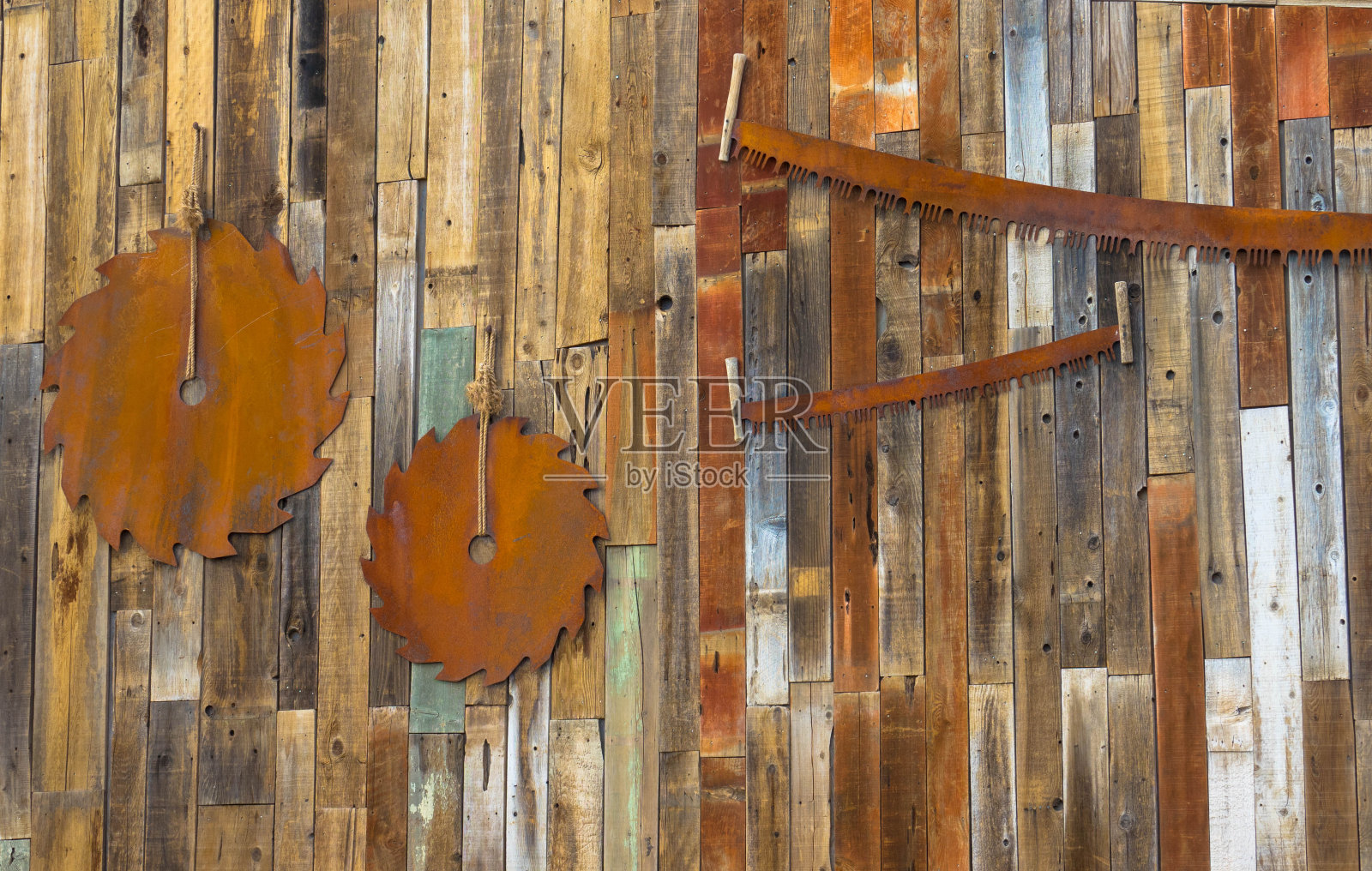 生锈的旧圆锯挂在木墙上。照片摄影图片
