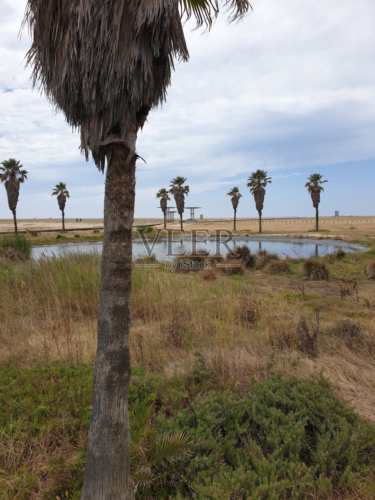 葡萄牙照片摄影图片