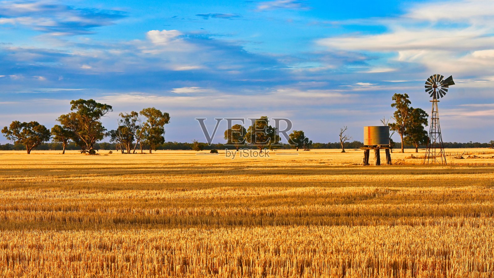 美丽的傍晚阳光在围场照片摄影图片