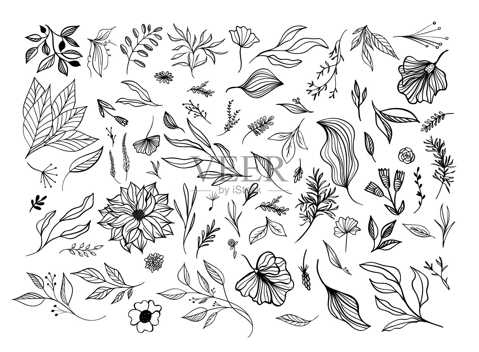 设置抽花花孤立在白色设计元素图片