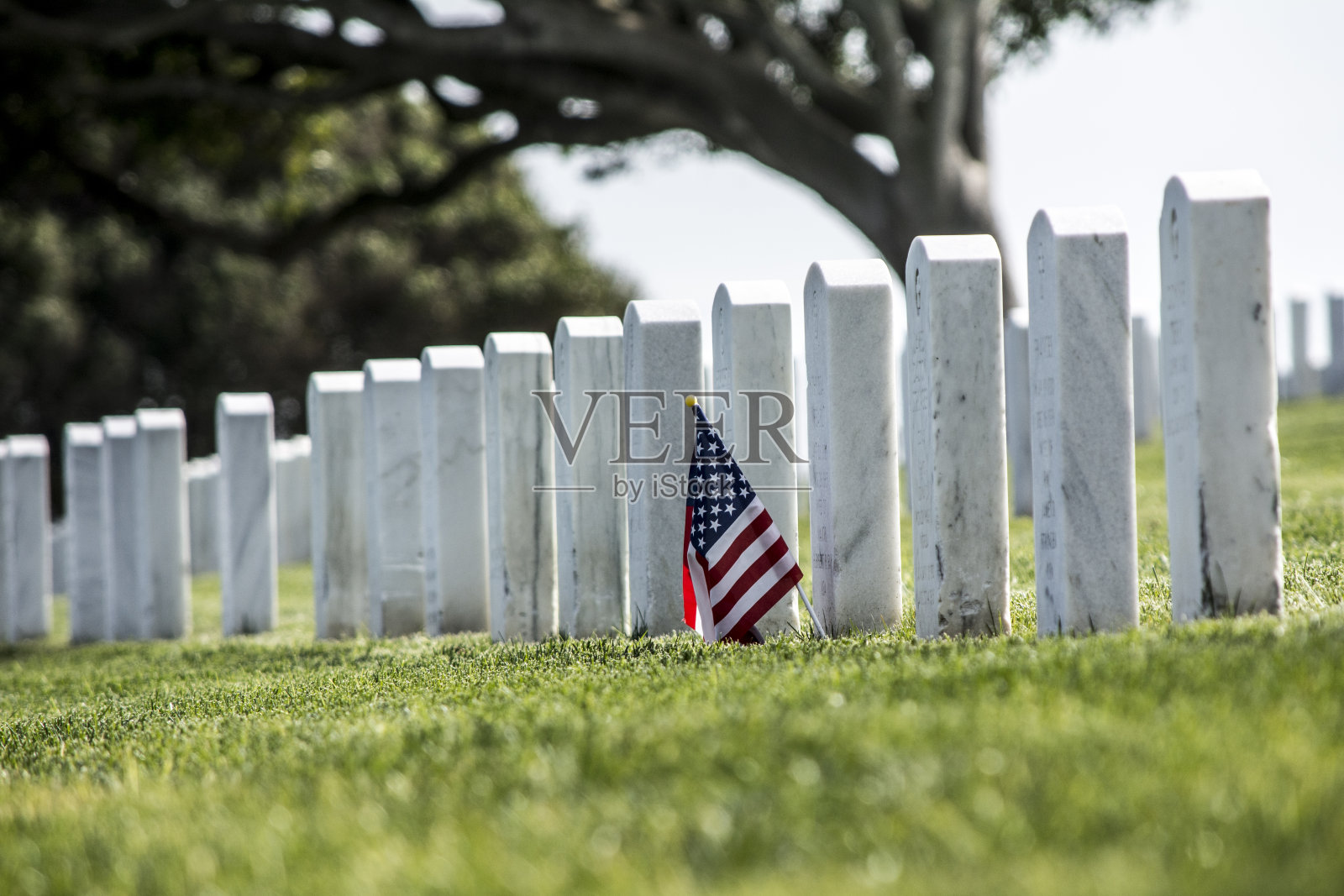国家公墓照片摄影图片