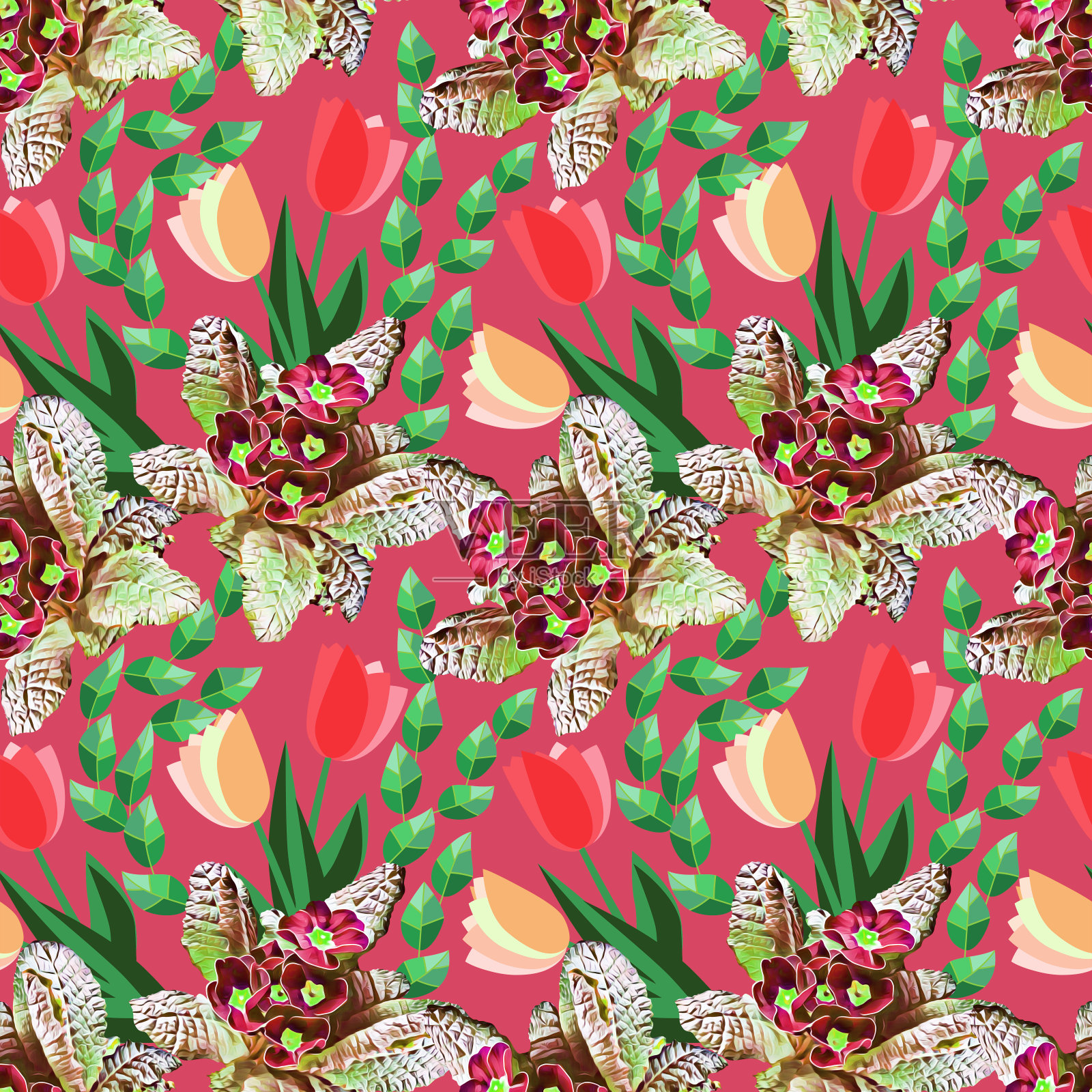 春花报春花和郁金香，图案无缝。插画图片素材