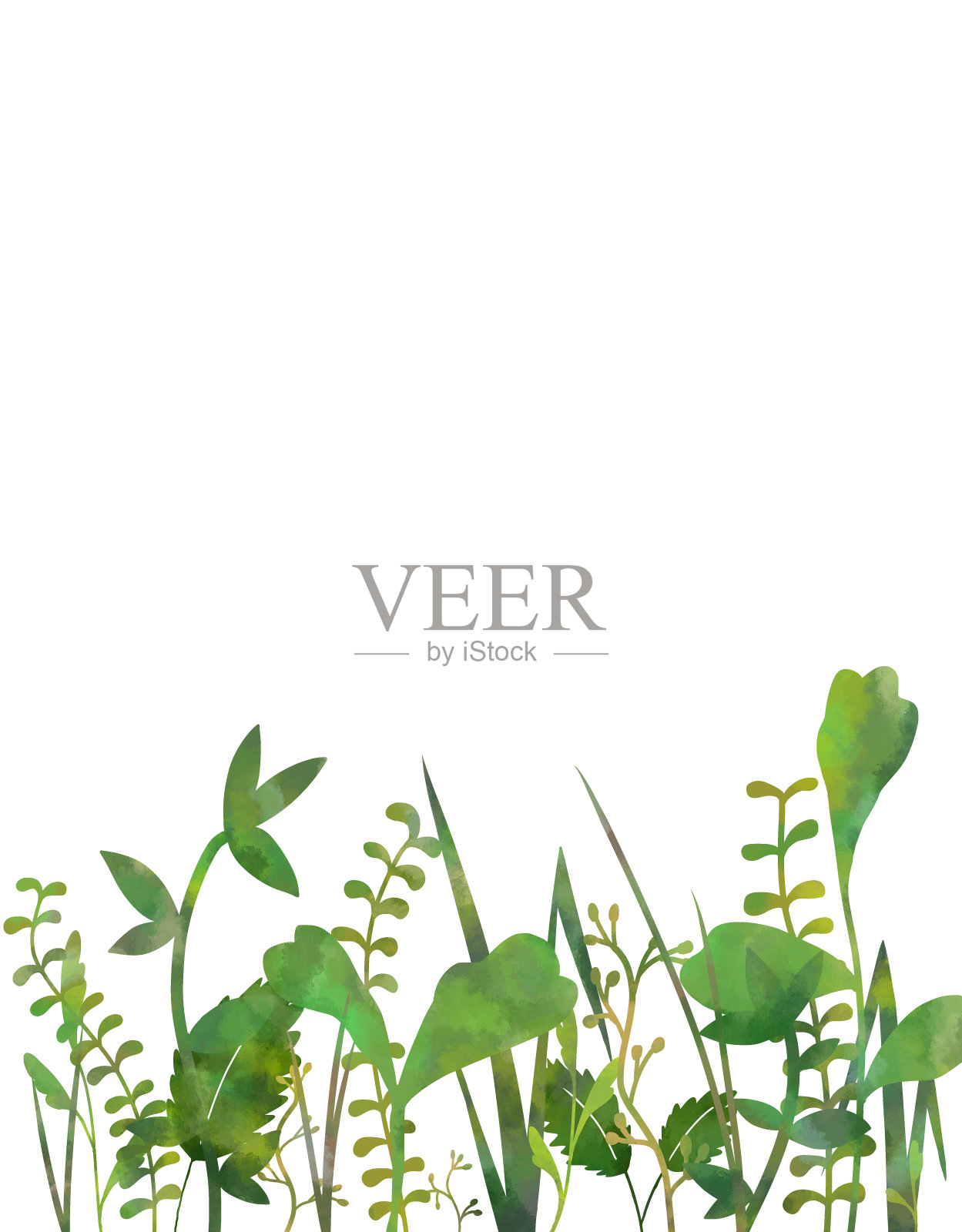 白色背景上的绿色植物框架插画图片素材