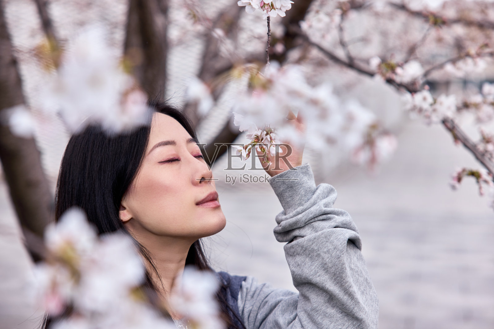 美丽的亚洲女孩在樱花花园在一个春天的一天。照片摄影图片