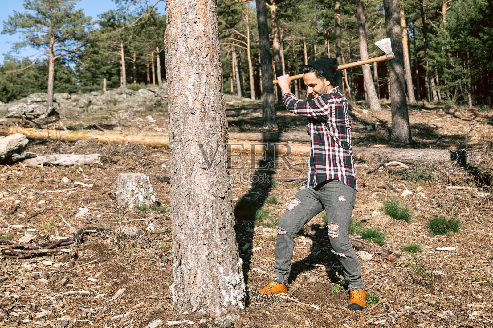 伐木工人在森林中用斧头砍柴照片摄影图片