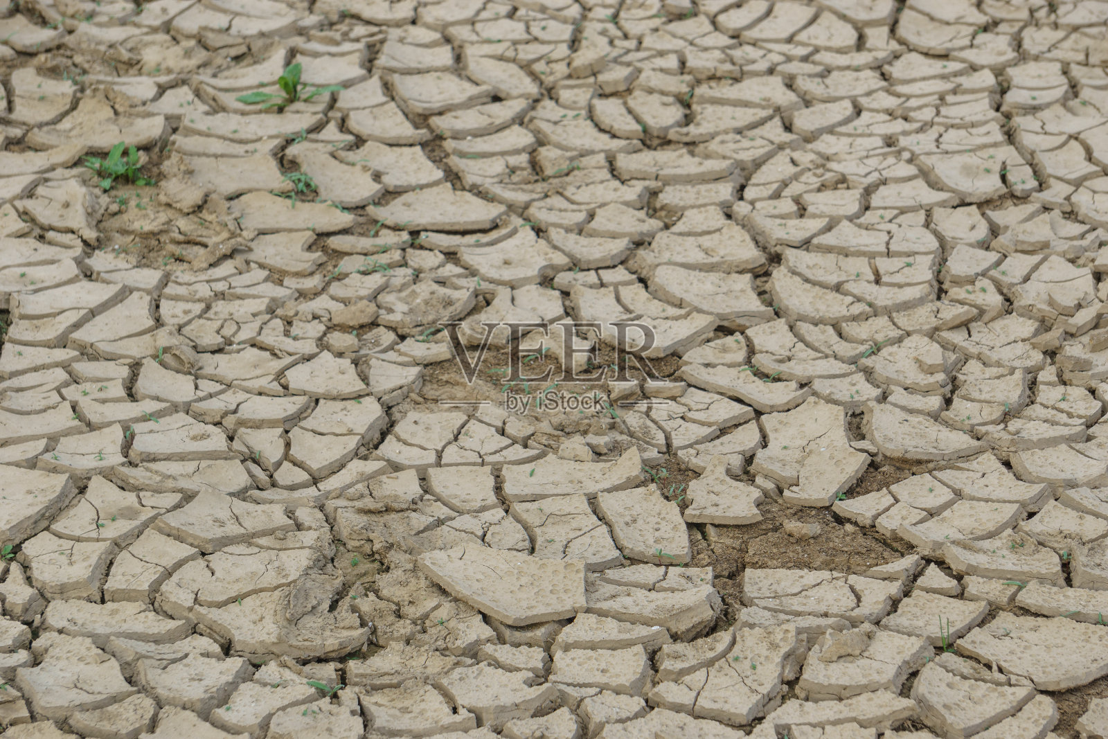 斯洛文尼亚Cerknisko jezero的裂缝土壤模式照片摄影图片