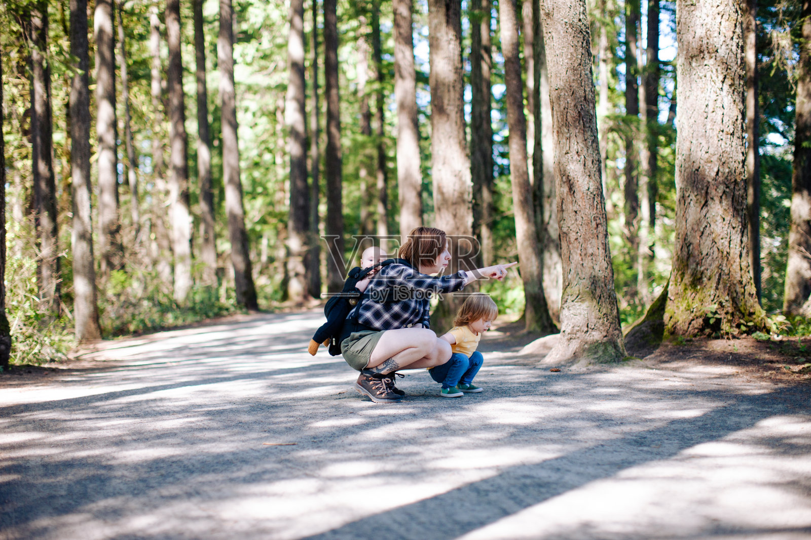 带着两个孩子在太平洋西北森林徒步旅行的母亲照片摄影图片