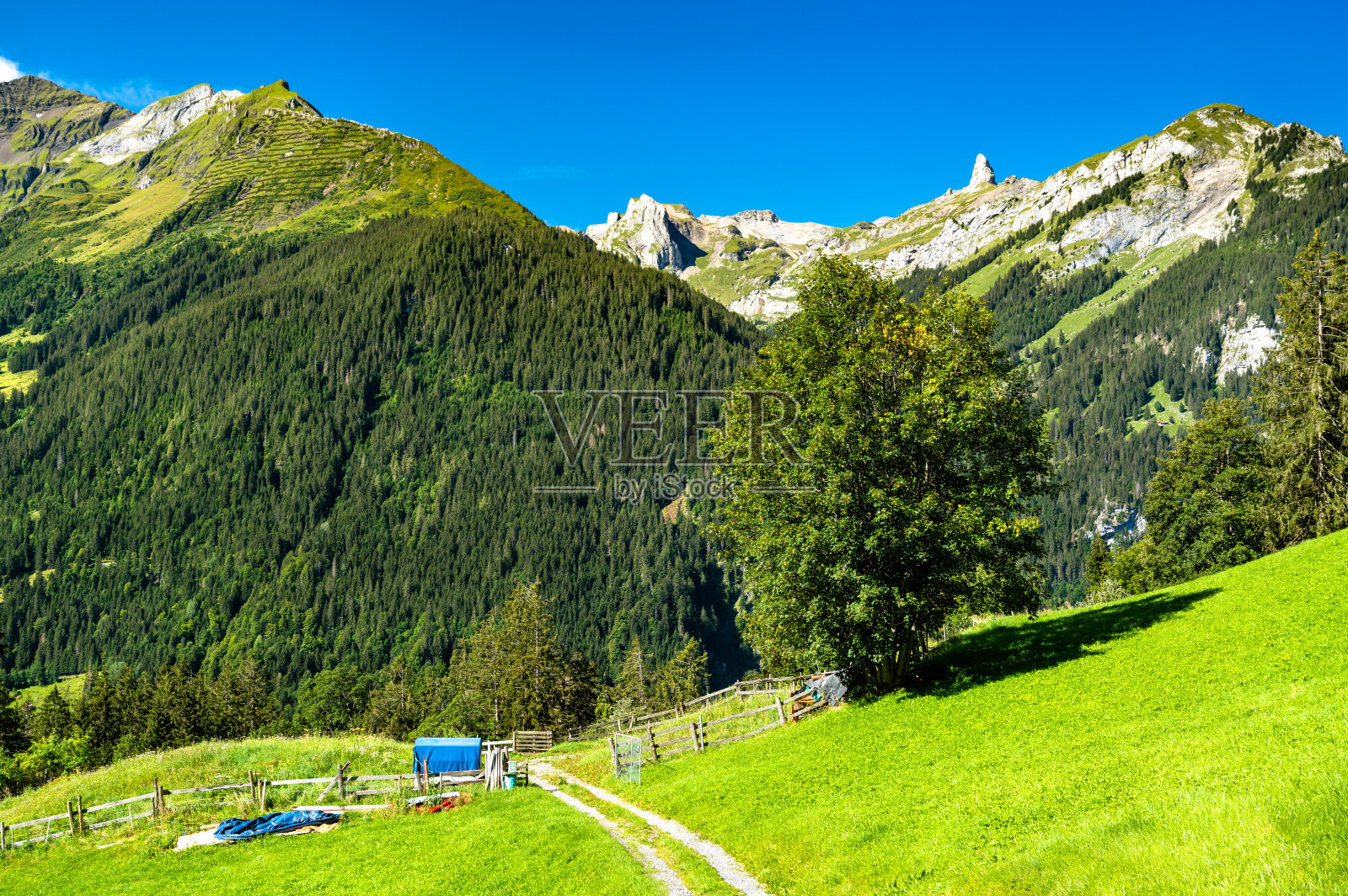 瑞士翁根的阿尔卑斯山景色照片摄影图片