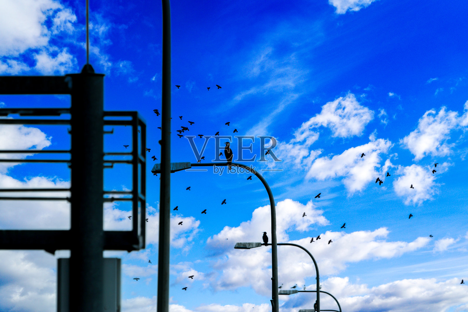 德国户外的云和鸟的风景照片在白天拍摄和编辑照片摄影图片