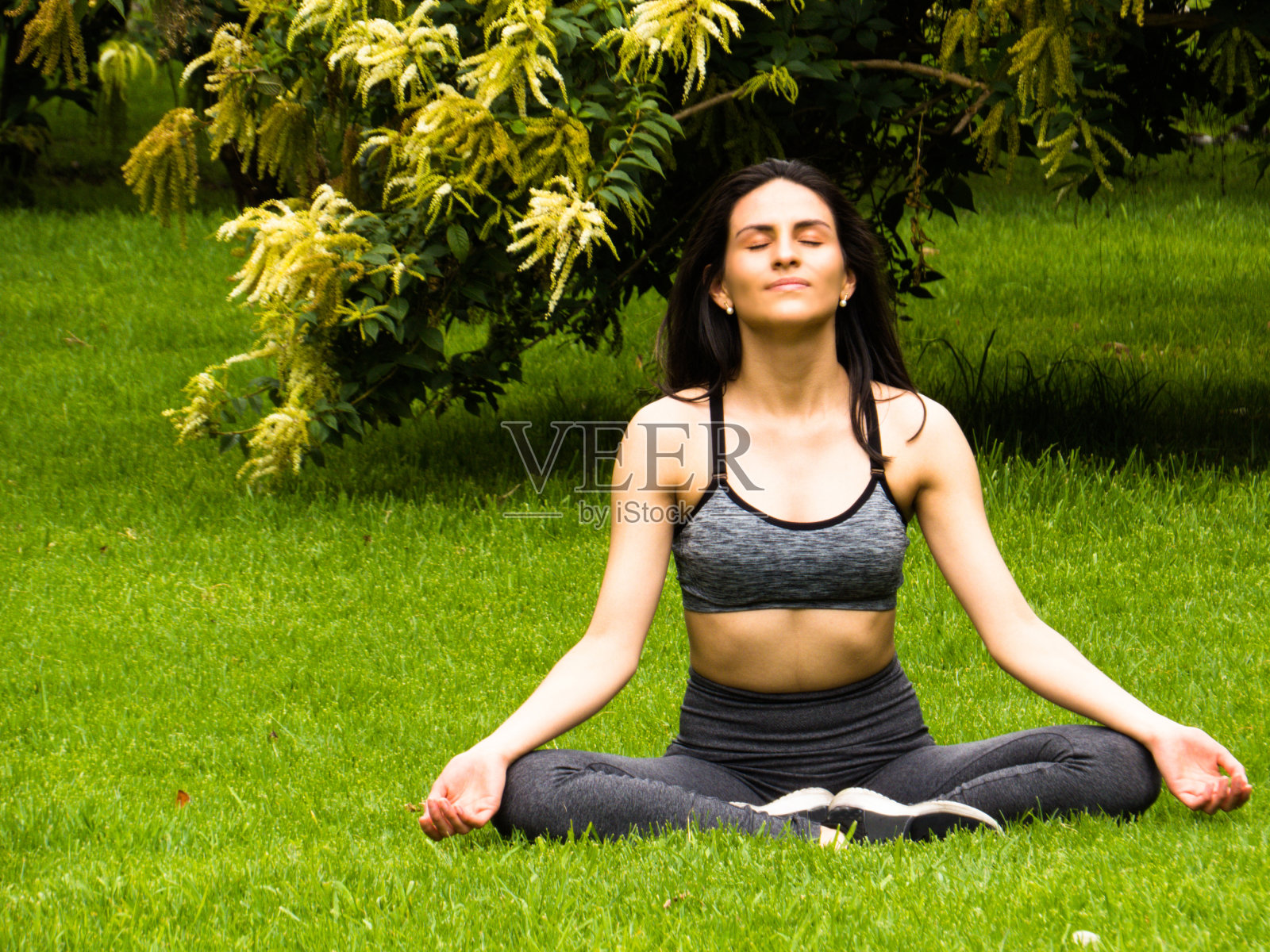 在公园里做瑜伽的女人照片摄影图片