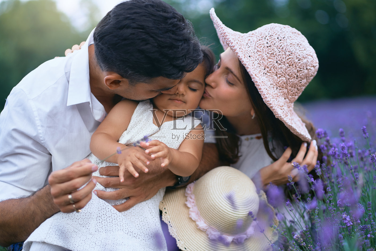 年轻的父母在薰衣草地里亲吻小女儿照片摄影图片