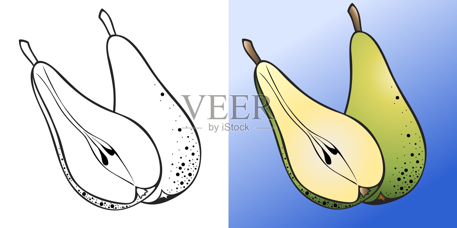 一组两幅带有梨的图片插画图片素材