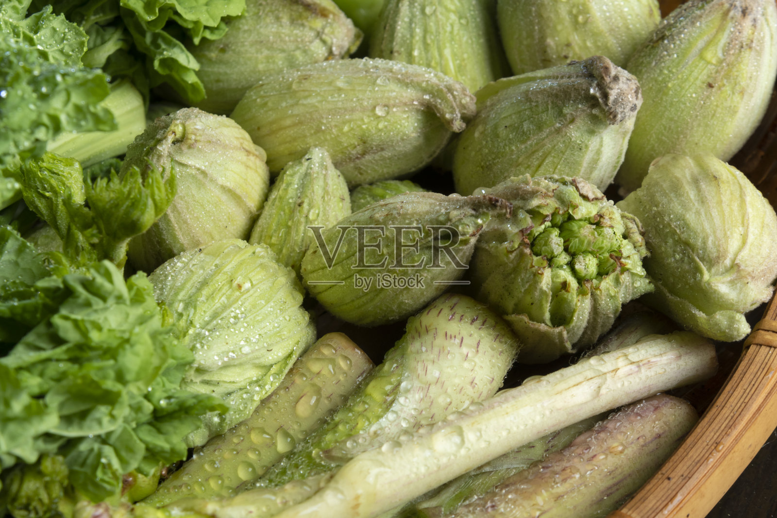 春天野生植物日本照片摄影图片