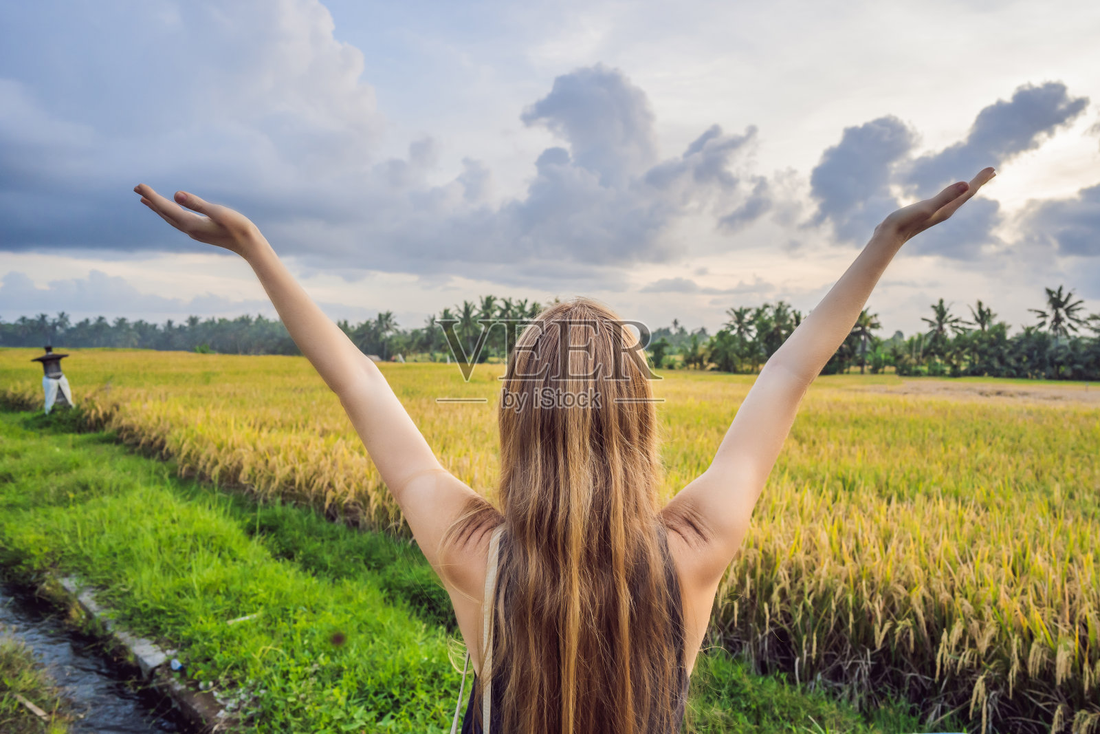 女游客可以饱览亚洲美丽的稻田美景照片摄影图片