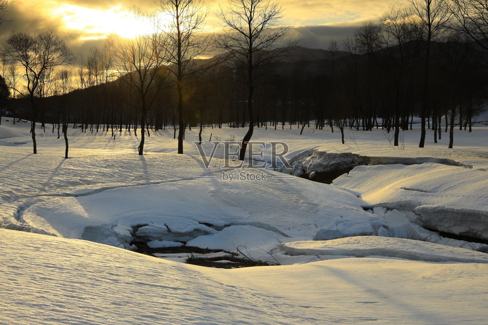 雪地里冬天的景色照片摄影图片