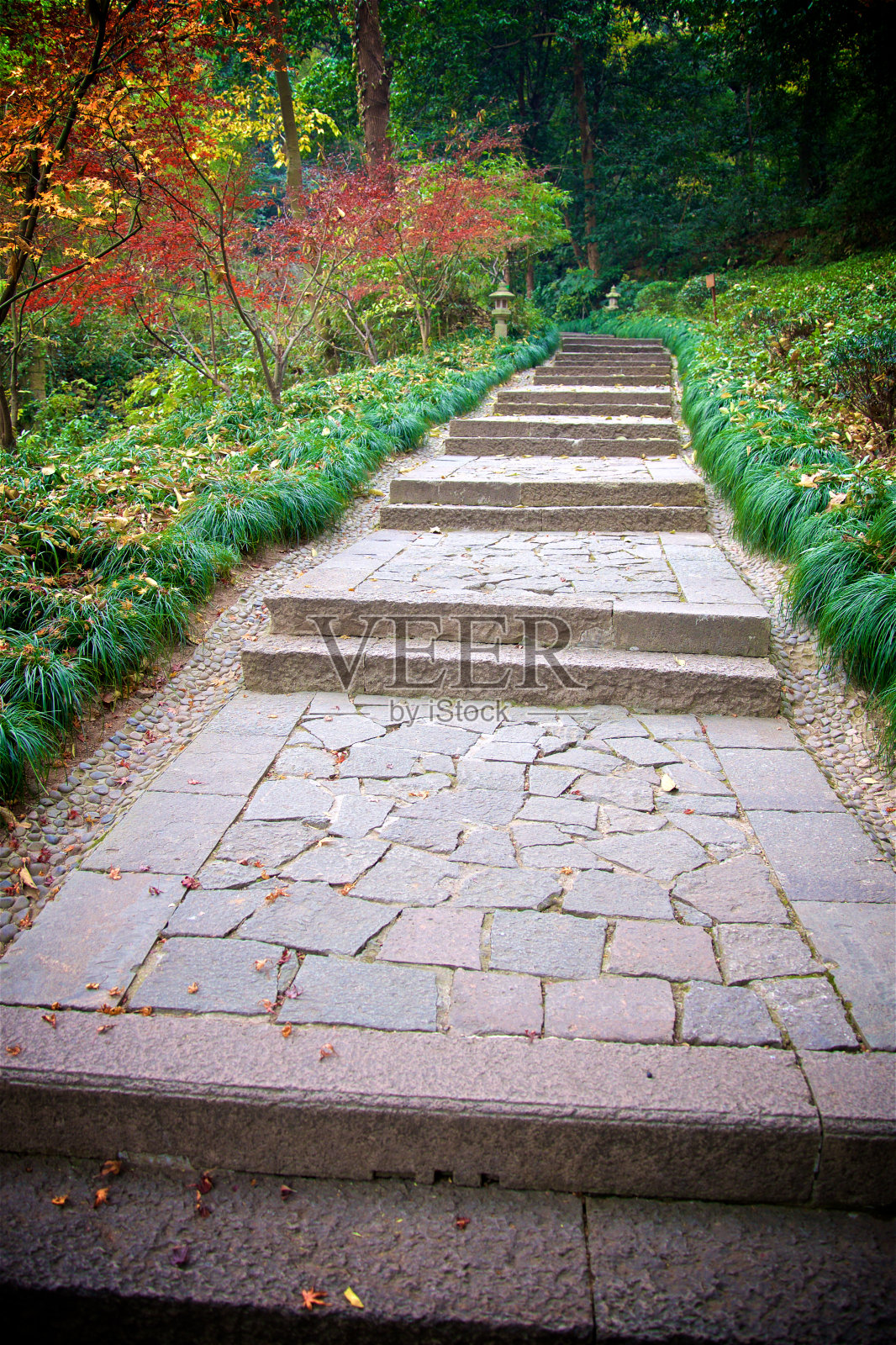 中国杭州当地村寨草林石碑步行路照片摄影图片