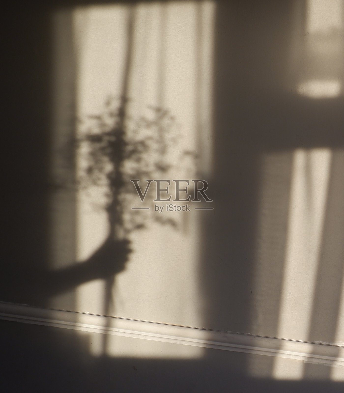 影子花束照片摄影图片