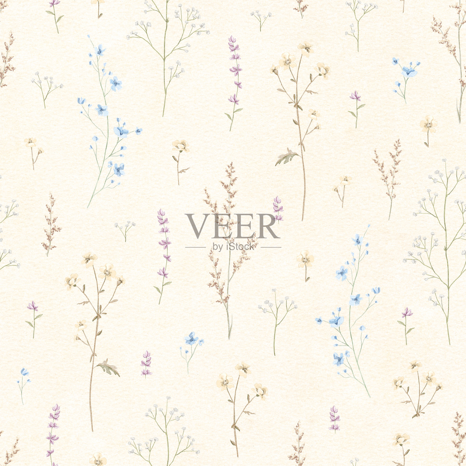 水彩无缝花卉图案与草甸干花插画图片素材