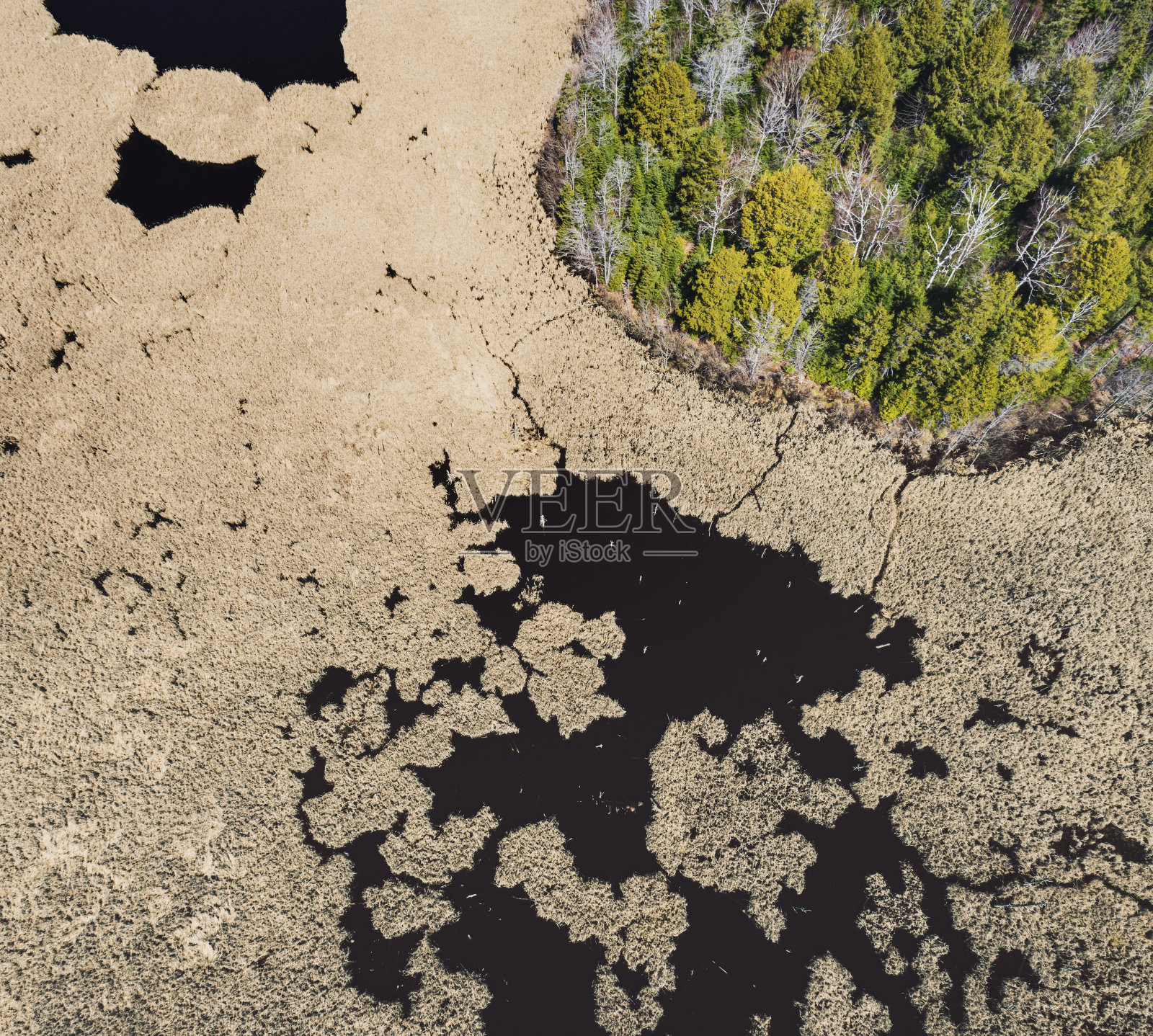 受污染的湿地照片摄影图片