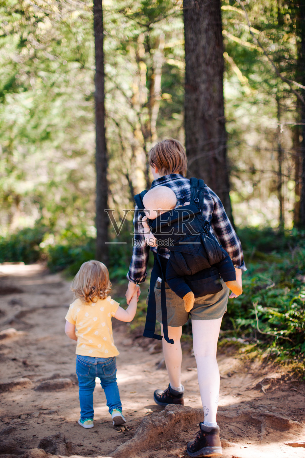 一位母亲带着两个孩子在华盛顿的森林里徒步旅行照片摄影图片