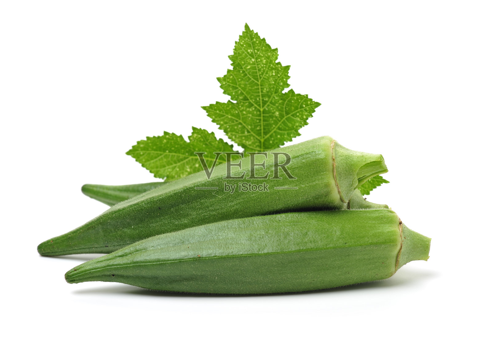 新鲜年轻的秋葵照片摄影图片