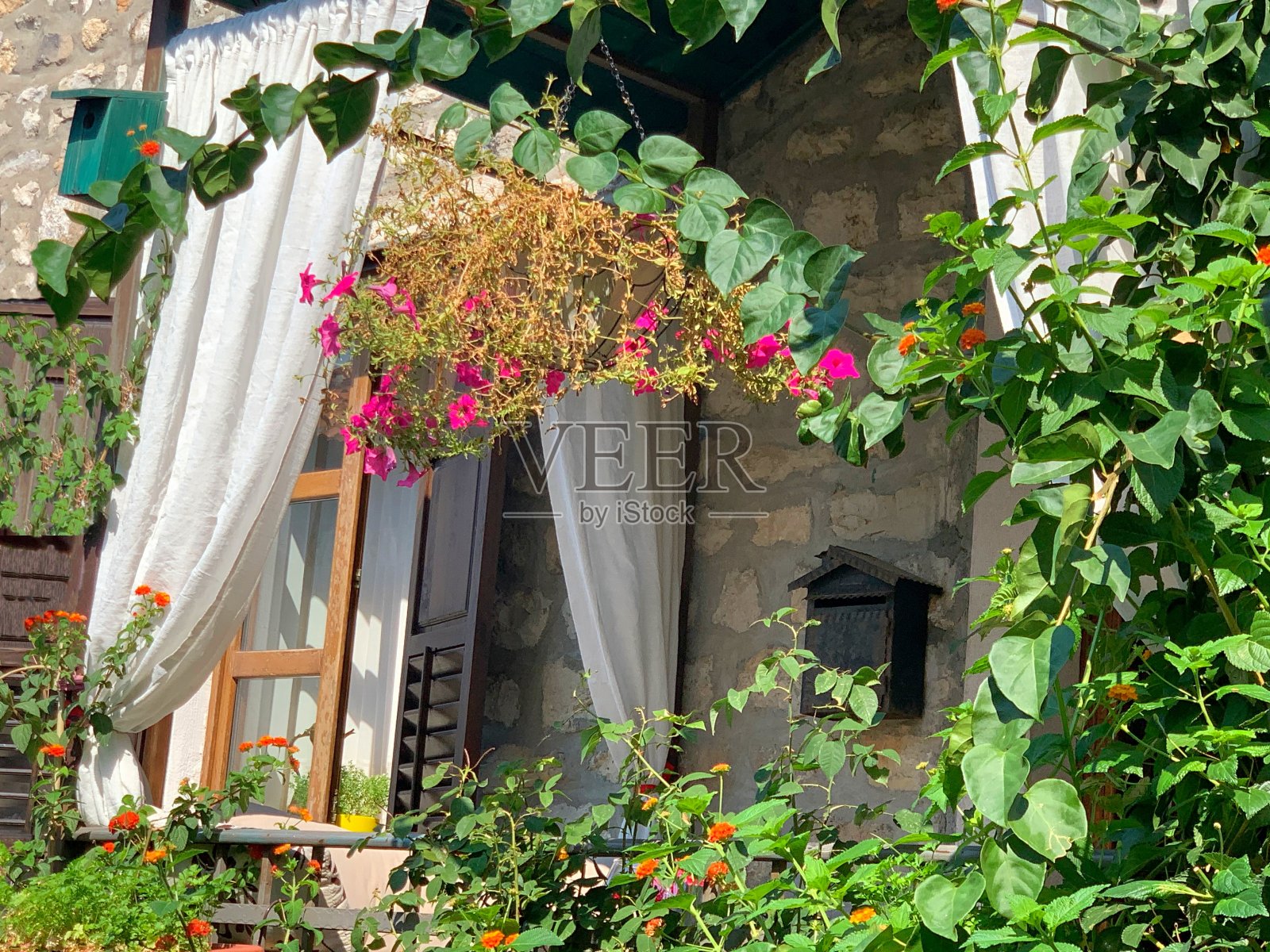 在地中海老城的一个舒适的露台阳台上，夏日花园爬满了盛开的植物和充满活力的花。照片摄影图片